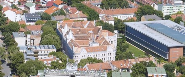 Vezetői tapasztalat